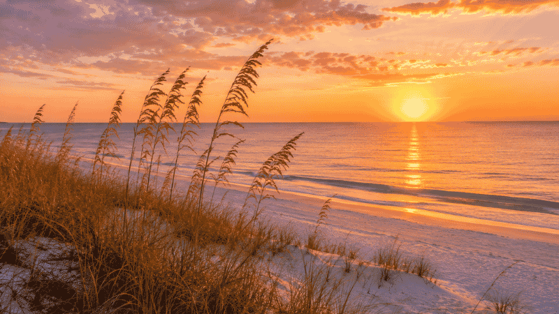 Fall sunset over the Gulf of Mexico at Destin Florida with sea oats on white sand dunes