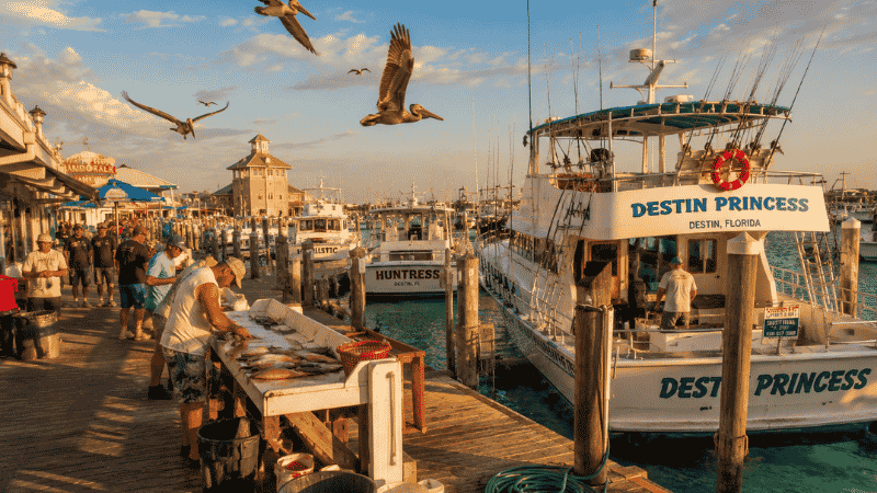 Fishing charter boats docked at Destin Florida harbor boardwalk with pelicans in late afternoon light