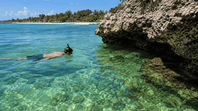 Snorkeler exploring Point of Rocks reef at Siesta Key Florida in clear Gulf water