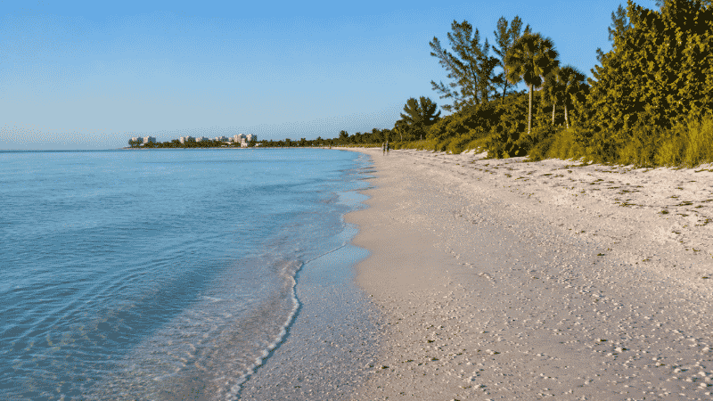 Quiet Turtle Beach at the south end of Siesta Key Florida with calm Gulf water and natural shoreline