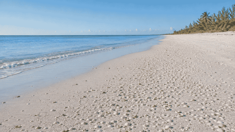 Bowman's Beach Sanibel Island Florida showing wide uncrowded white sand beach covered with shells and calm turquoise Gulf water