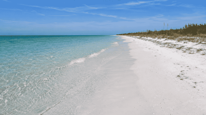 Pristine undeveloped white sand beach at Caladesi Island Florida with crystal clear Gulf water and natural vegetation