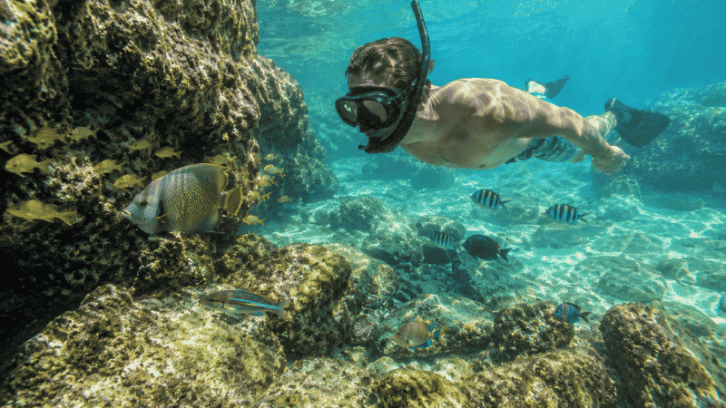 Snorkeler underwater near rocky limestone reef at Point of Rocks Siesta Key Florida with colorful reef fish visible in clear water