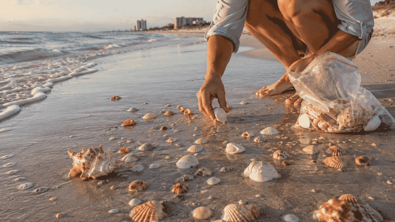 Person collecting seashells on wet sand at low tide on a Florida beach at early morning