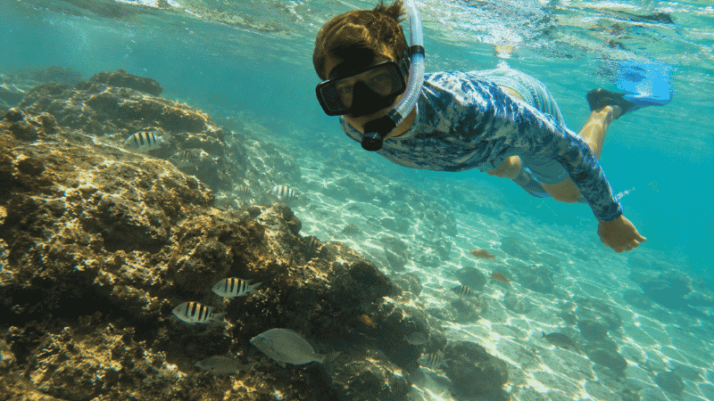 Snorkeler exploring the rocky jetty reef in clear water near Shell Island Panama City Beach Florida