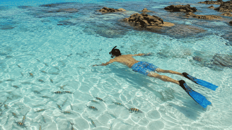 Person snorkeling in clear turquoise water near a rocky reef with tropical fish visible below the surface