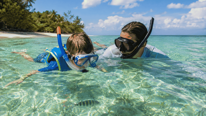 Parent and young child snorkeling together in calm shallow Gulf water in Florida with child wearing snorkeling vest