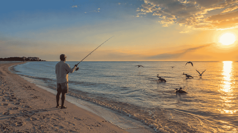 Angler casting a fishing rod at the edge of a Florida Gulf Coast beach at golden hour sunrise with pelicans diving in the background