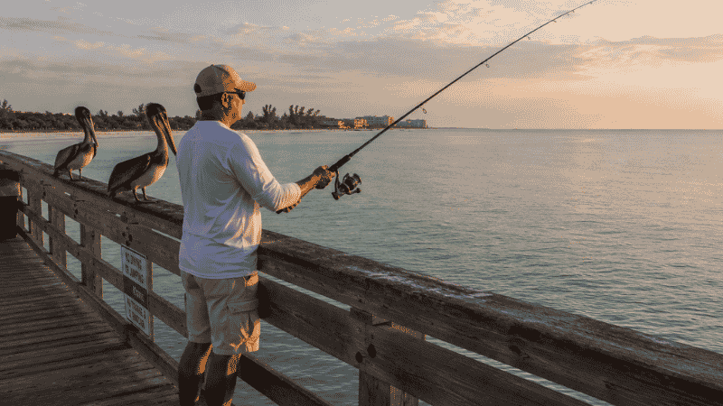 Angler fishing from a wooden pier over clear Gulf of Mexico water in Florida at early morning with pelicans on the railing