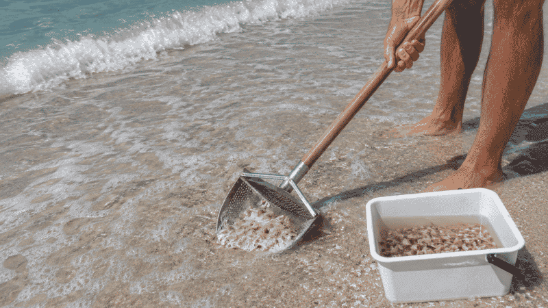 Person using a sand flea rake to collect sand fleas in the wave wash zone on a Florida beach for fishing bait