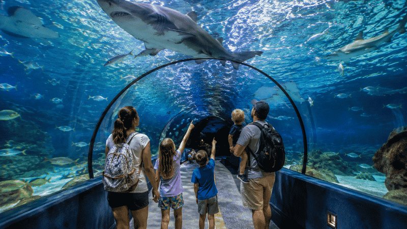 Family with children walking through an underwater shark tunnel at Ripley's Aquarium in Myrtle Beach with sharks swimming overhead